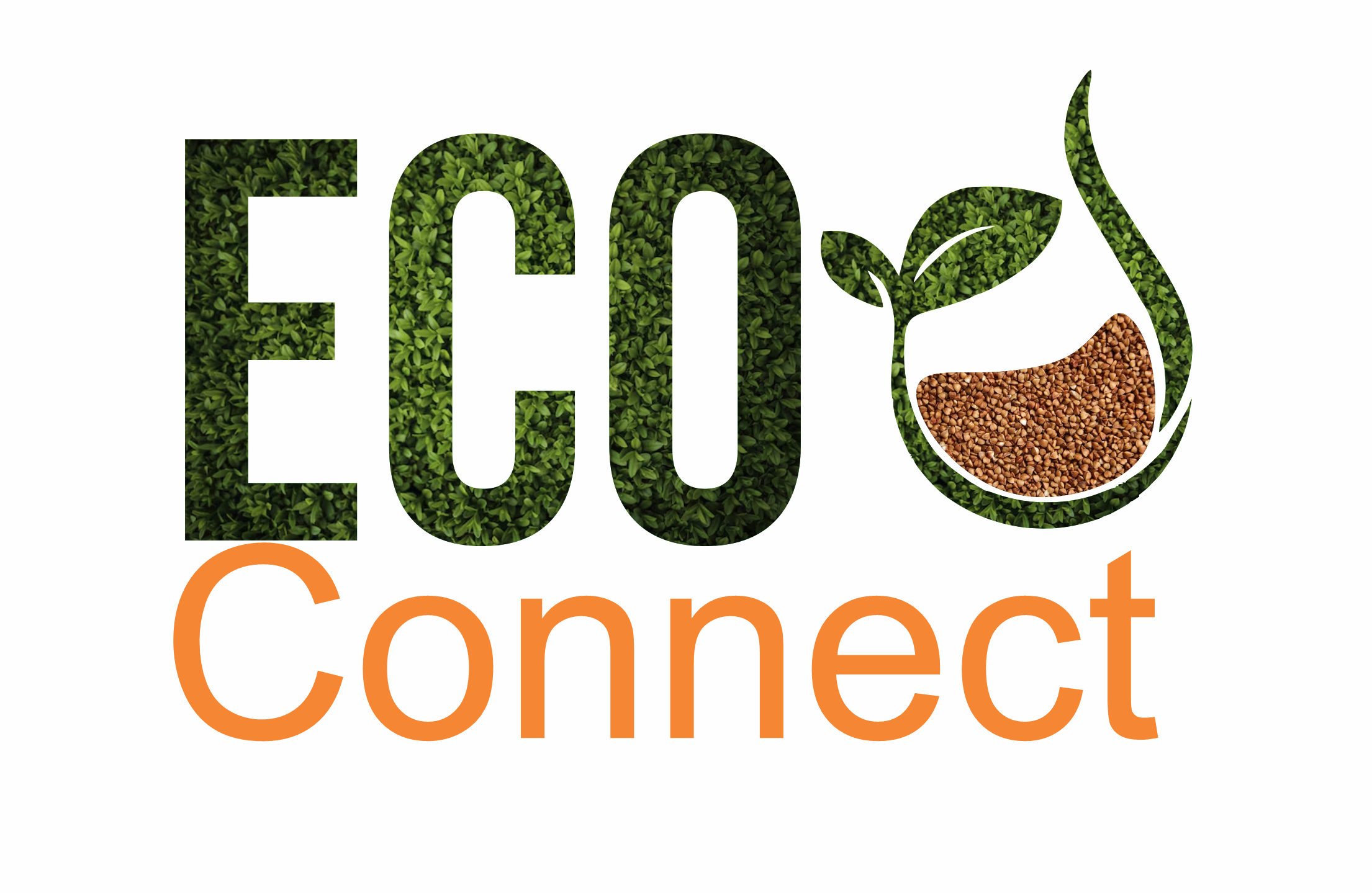 Eco Connect logo